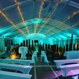 ed767c81-d3b7-43f7-b4d0-5d2339923536