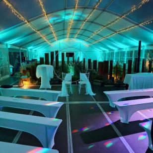 ed767c81-d3b7-43f7-b4d0-5d2339923536