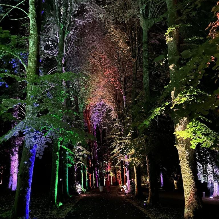 Park Illumination