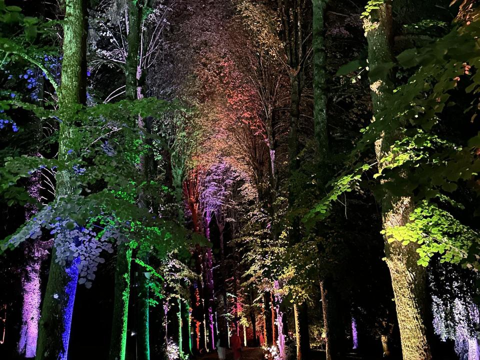 Park Illumination