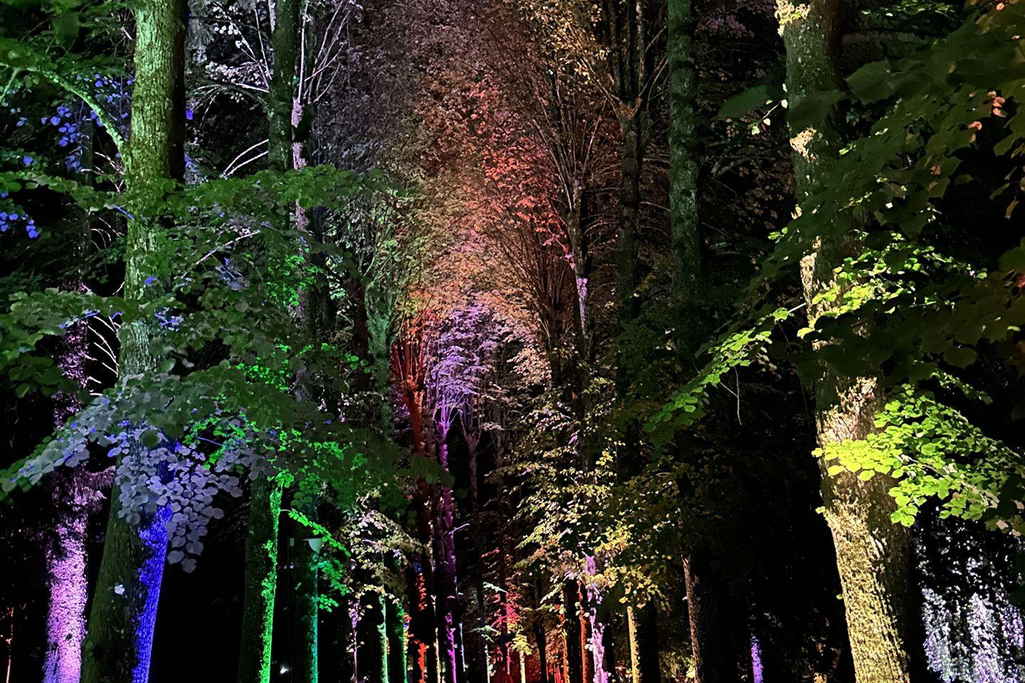 Park Illumination