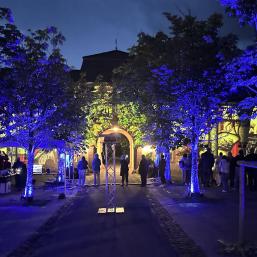 Park Architekturbeleuchtung