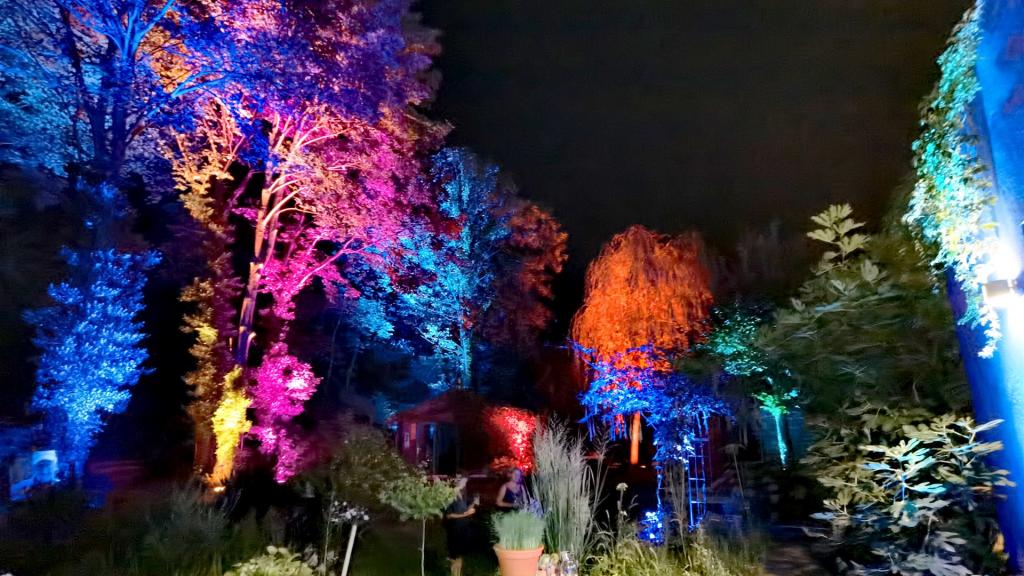 Eventtechnik-Bonn-Beleuchtung-Jubiläum