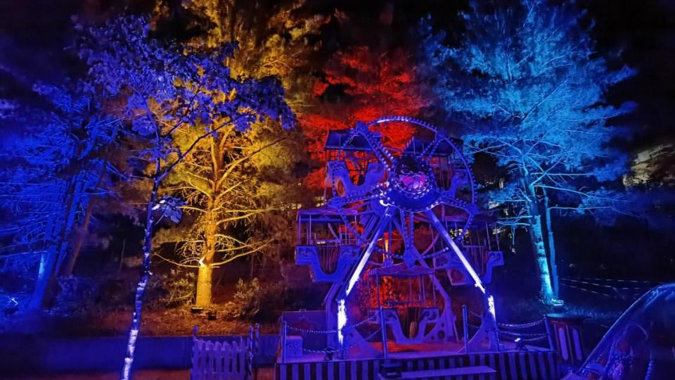 Eventtechnik-Bonn-Illumination-Firmenevent