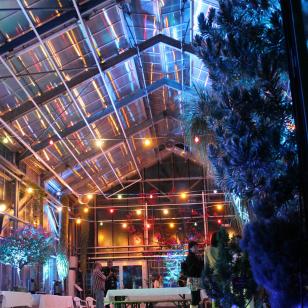 Illumination Botanischer Garten in Bonn