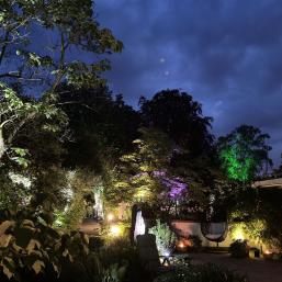 Illumination im Garten